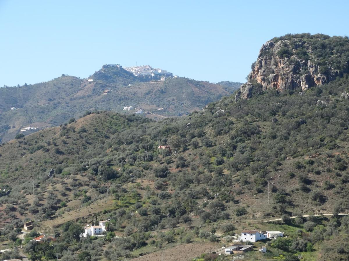 B&B Cortijo Loma León Cutar Exterior foto