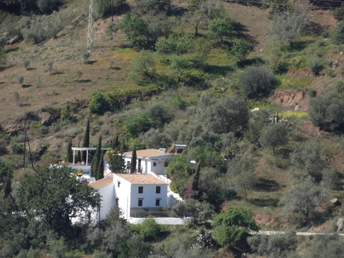 B&B Cortijo Loma León Cutar Exterior foto