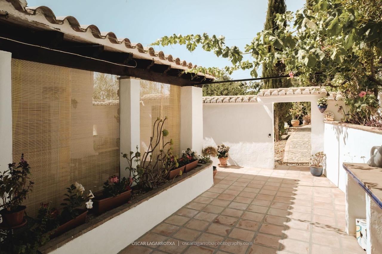 B&B Cortijo Loma León Cutar Exterior foto